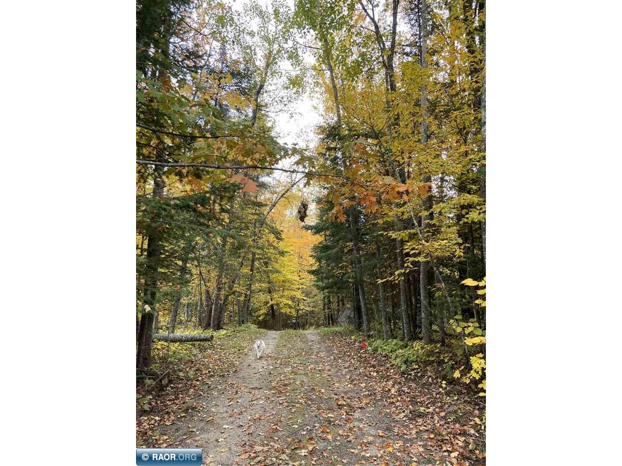 31149 County Rd 40 Effie MN 56639 - Round Lake 148029 image37