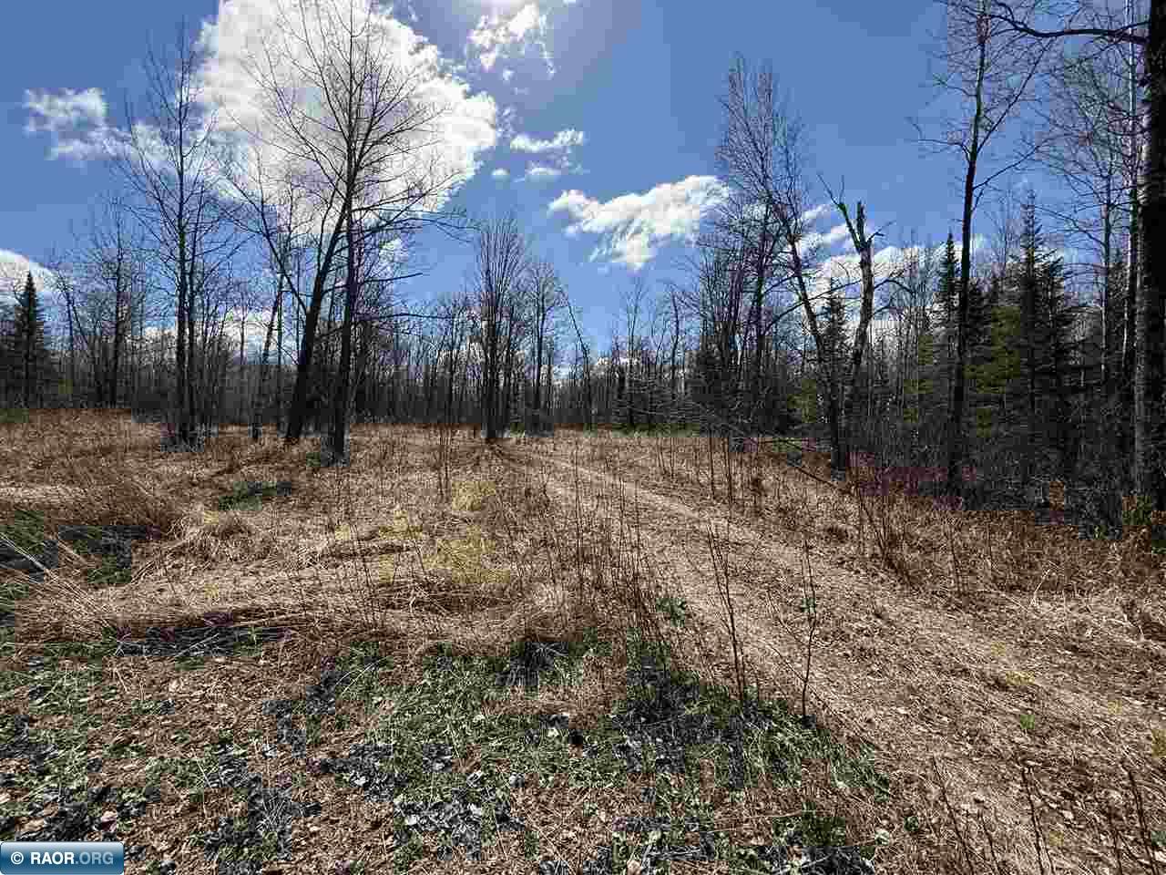 3120 Hwy 73 Hibbing MN 55746 149946 image8