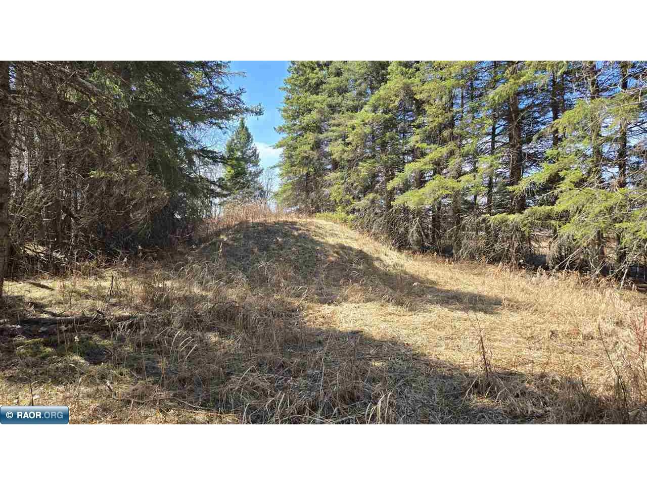 3293 Greaney Rd Orr MN 55771 149944 image10