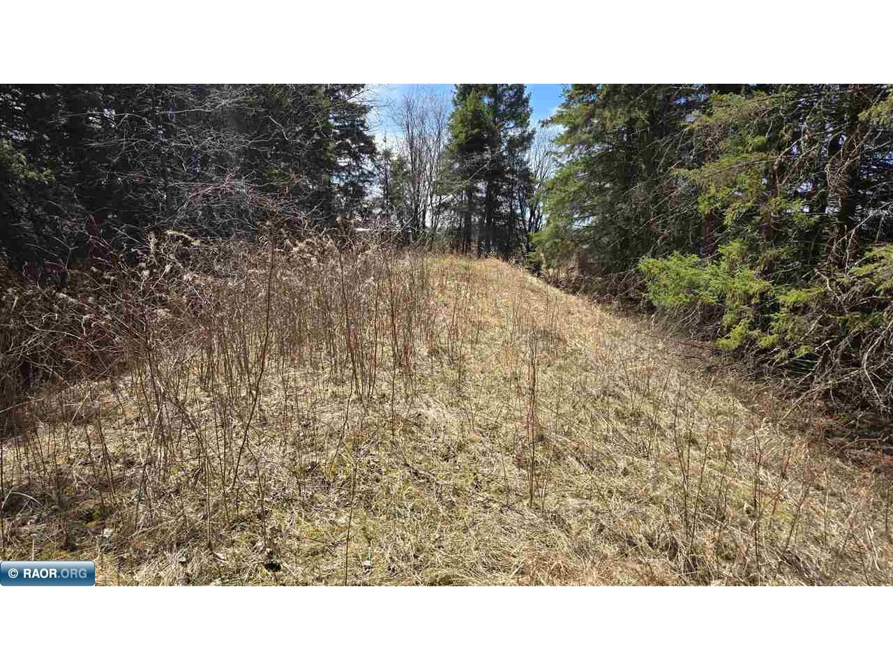 3293 Greaney Rd Orr MN 55771 149944 image11