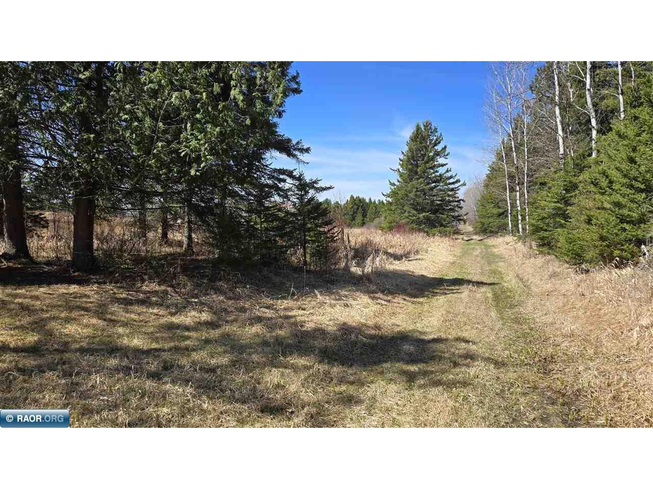 3293 Greaney Rd Orr MN 55771 149944 image13