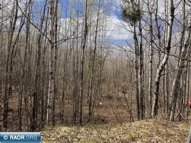 3333 Randa Road Buyck MN 55771 150013 image24