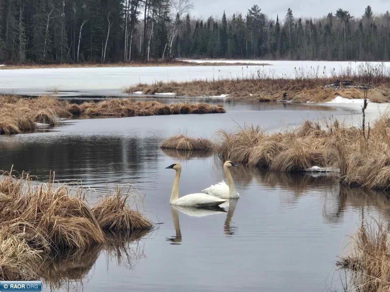 3420 Dewees Rd Babbitt MN 55706 - Isaac 148686 image43