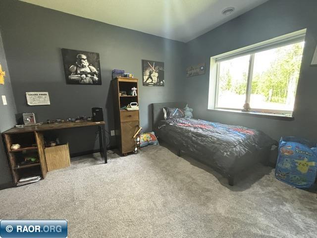 3454 Anderson Rd Hibbing MN 88746 150124 image12