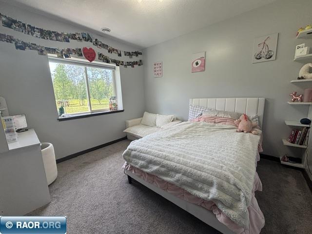 3454 Anderson Rd Hibbing MN 88746 150124 image13