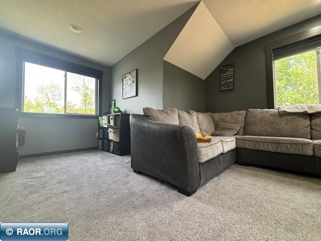 3454 Anderson Rd Hibbing MN 88746 150124 image21