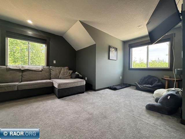 3454 Anderson Rd Hibbing MN 88746 150124 image23