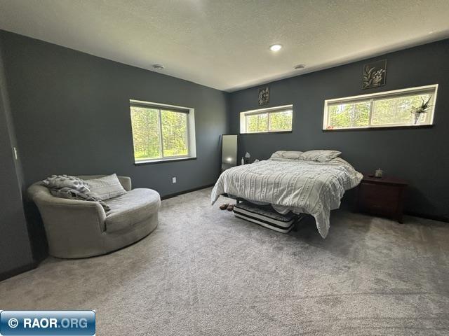 3454 Anderson Rd Hibbing MN 88746 150124 image6