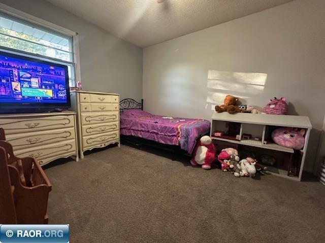 35 Garden Circle Babbitt MN 55706 149073 image12