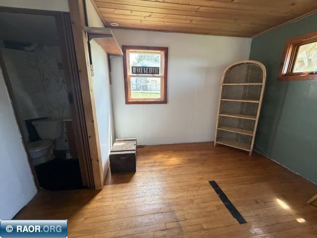 357 W Harvey Street Ely MN 55731 150131 image8