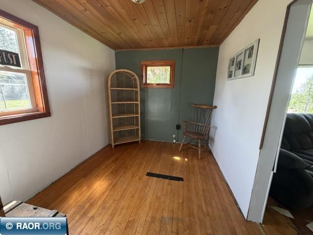 357 W Harvey Street Ely MN 55731 150131 image9