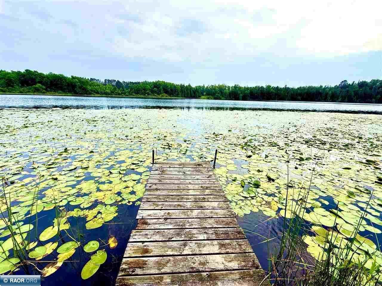36524 Big Mccarthy Lake Rd Nashwauk MN 55769 - Big MaCarthy Lake 149531 image31