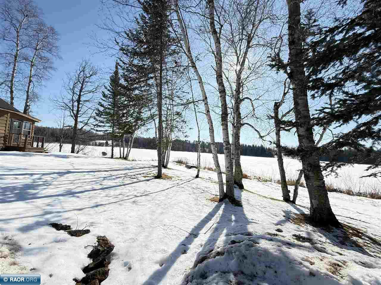 36524 Big Mccarthy Lake Rd Nashwauk MN 55769 - Big MaCarthy Lake 149531 image41