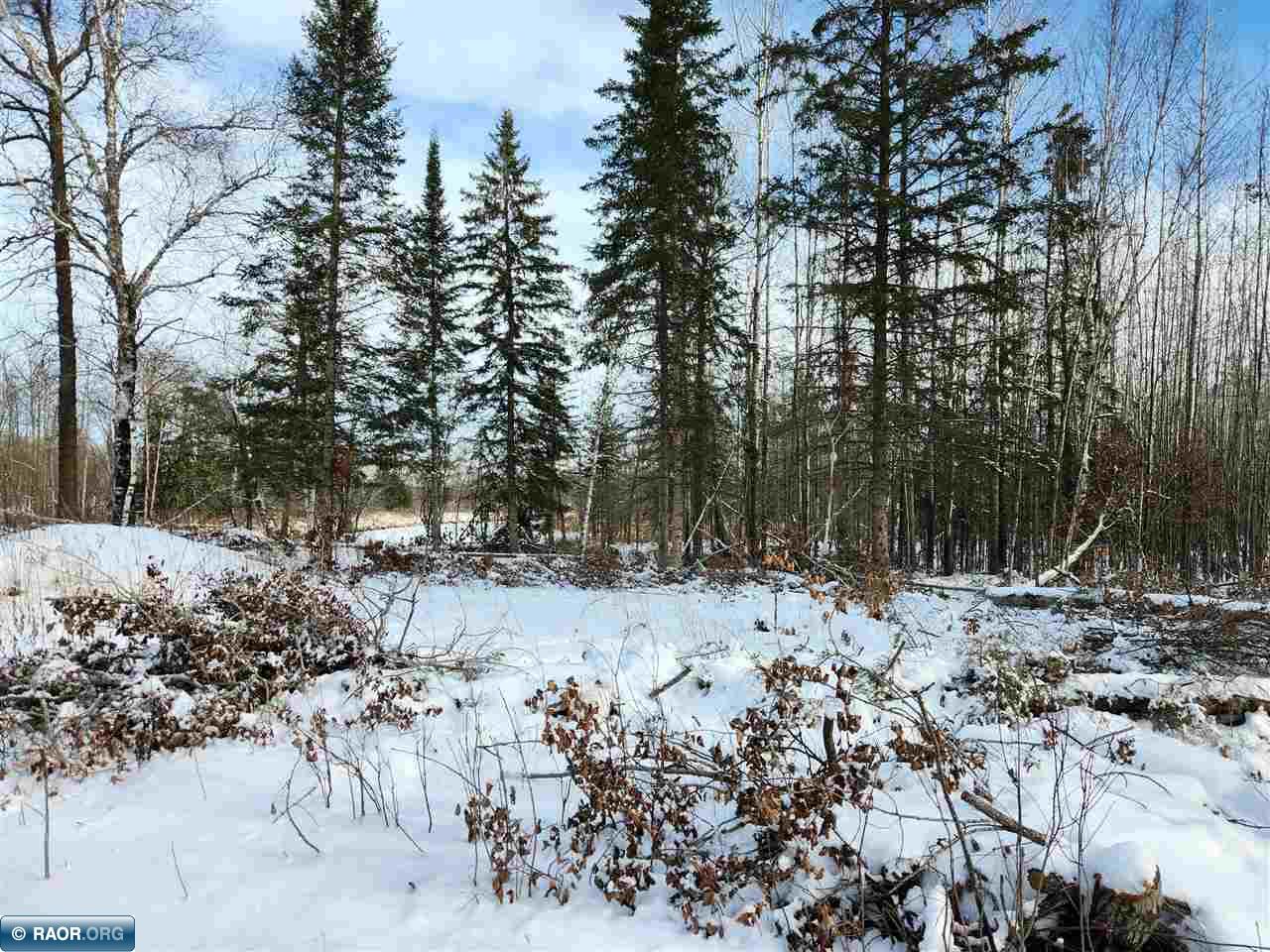 3670 County Road 97 International Falls MN 56649 - Rat Root River 149392 image15