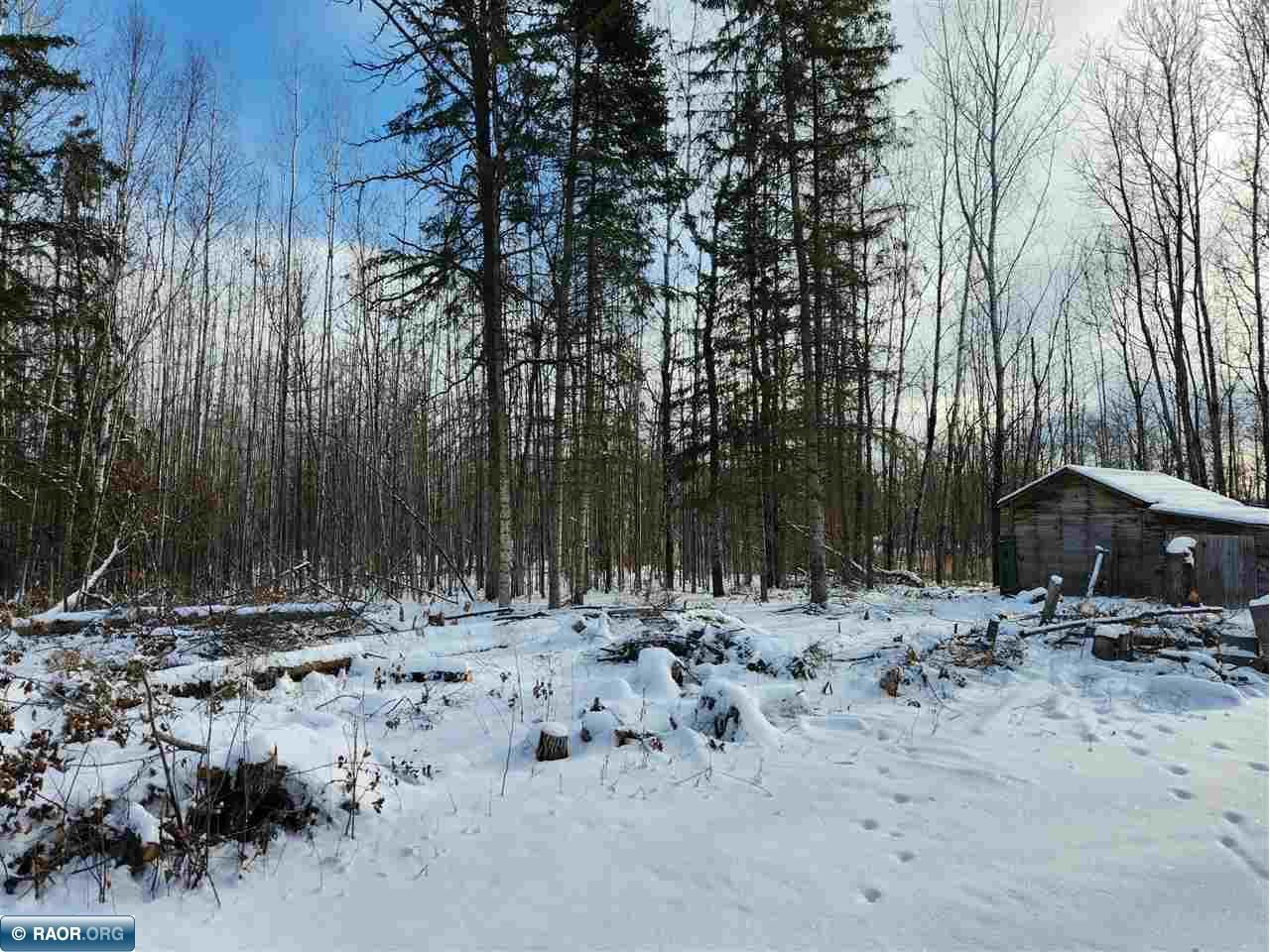 3670 County Road 97 International Falls MN 56649 - Rat Root River 149392 image16