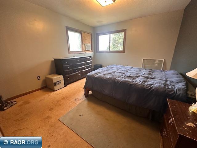 38 Locust Dr Babbitt MN 55706 148511 image13