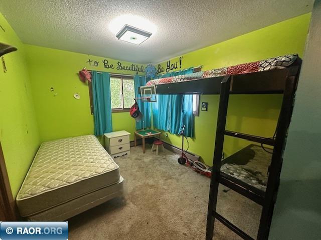 38 Locust Dr Babbitt MN 55706 149539 image15