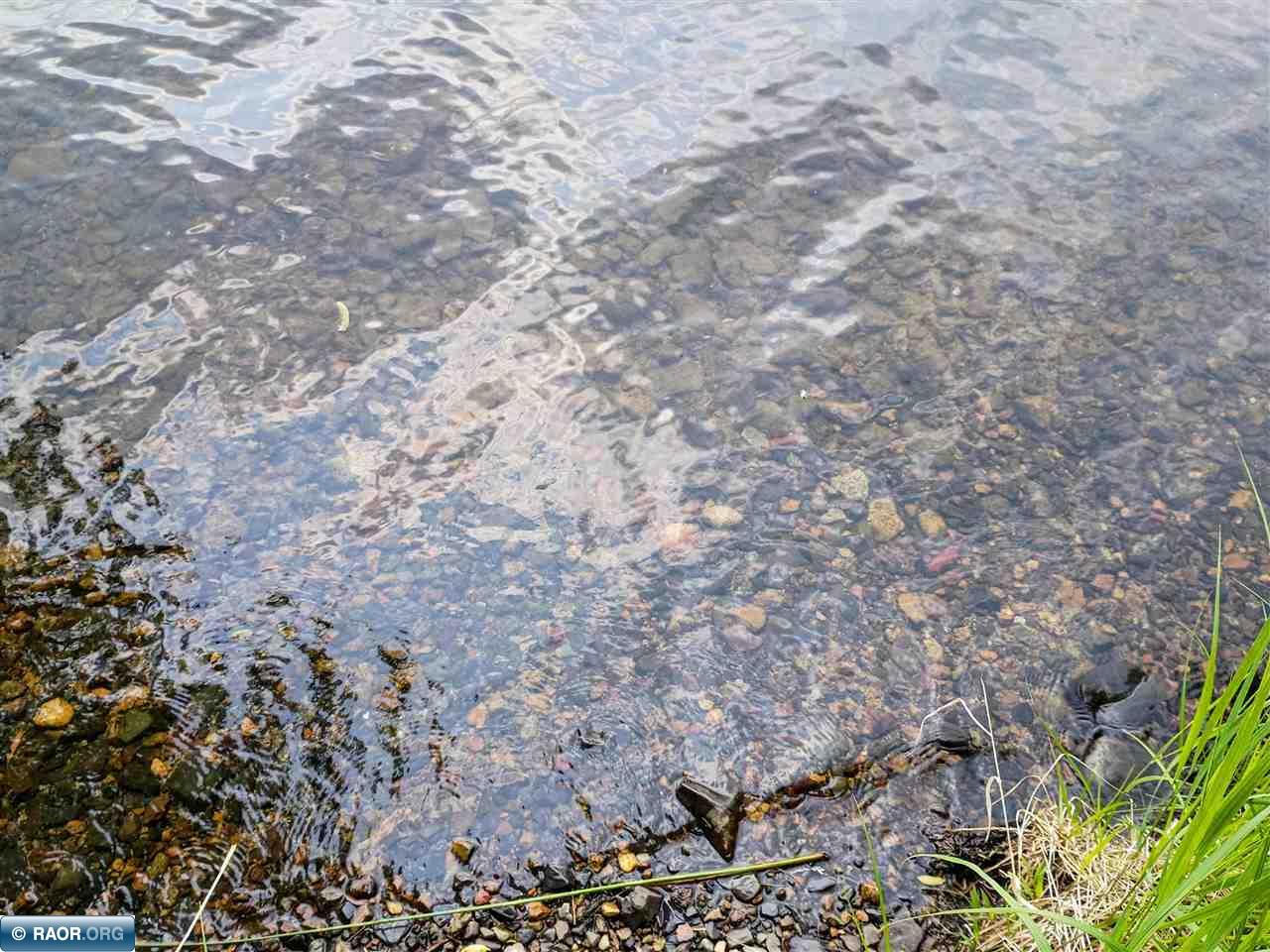 3997 Long Lake Shores Road Eveleth MN 55734 - Long Lake 148527 image12