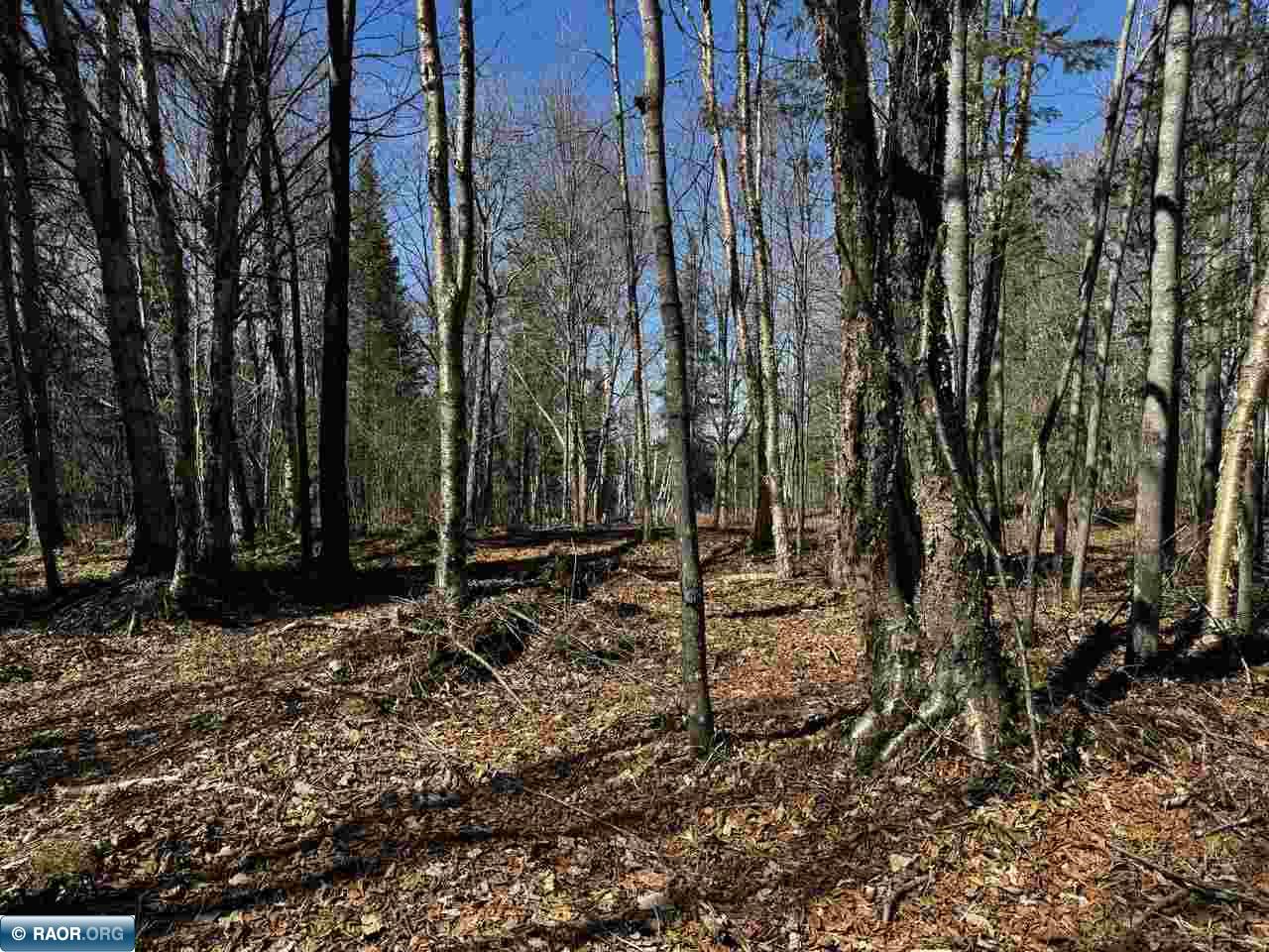 417 Barrell Road Ely MN 55731 - Fall 149843 image11