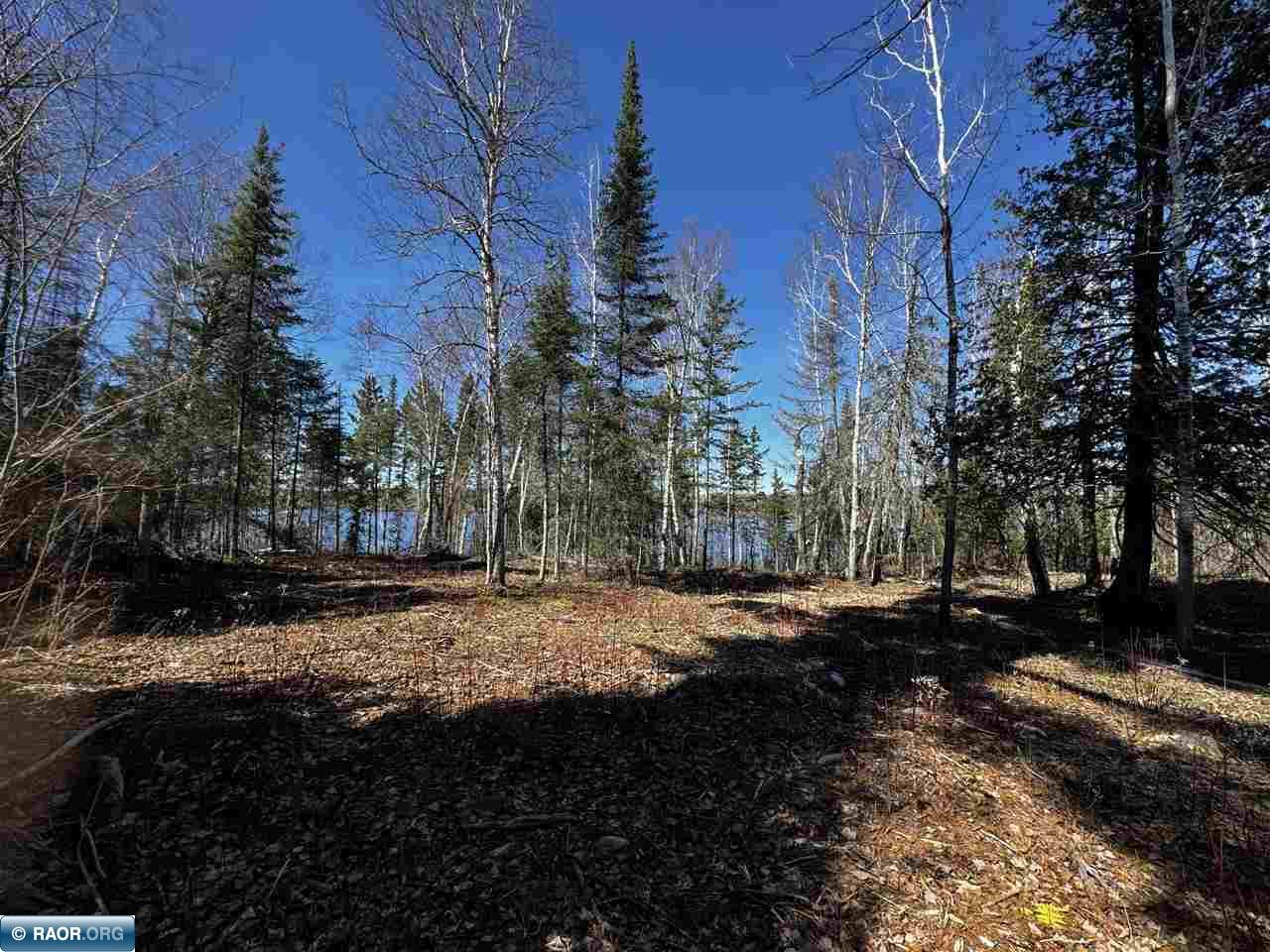 417 Barrell Road Ely MN 55731 - Fall 149843 image13
