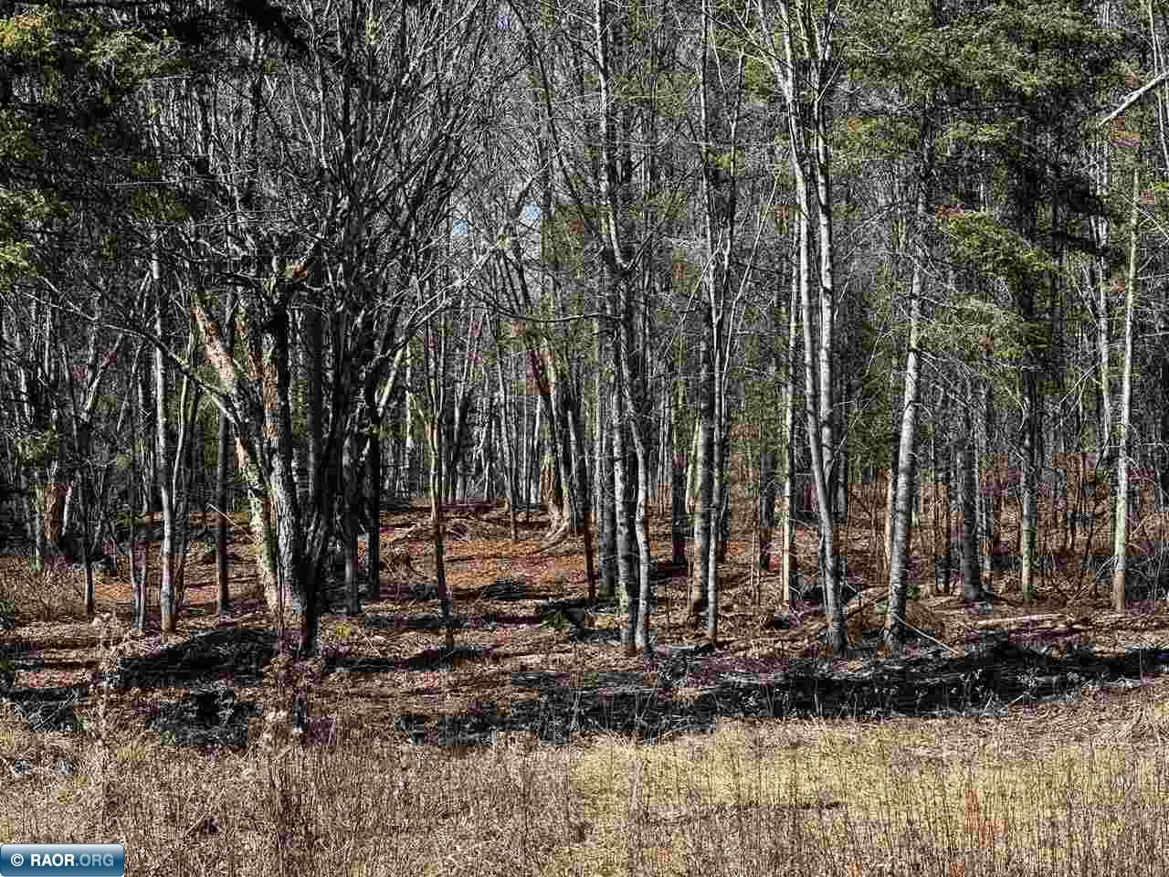 417 Barrell Road Ely MN 55731 - Fall 149843 image15