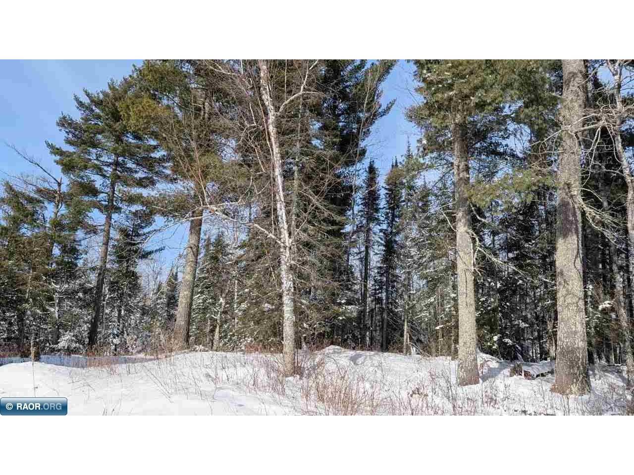 4477 Hitchcock Rd Orr MN 55771 149532 image33