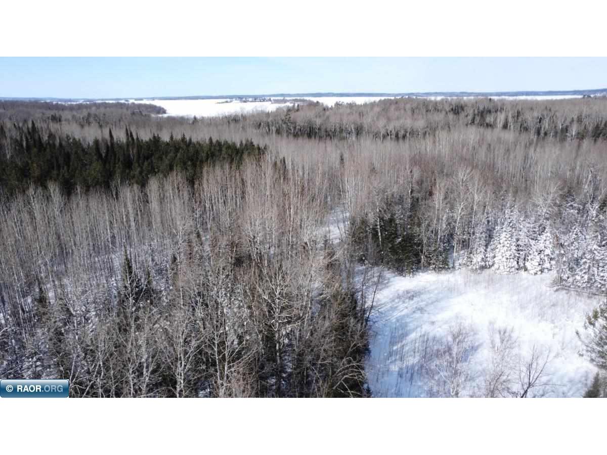 4477 Hitchcock Rd Orr MN 55771 149532 image38