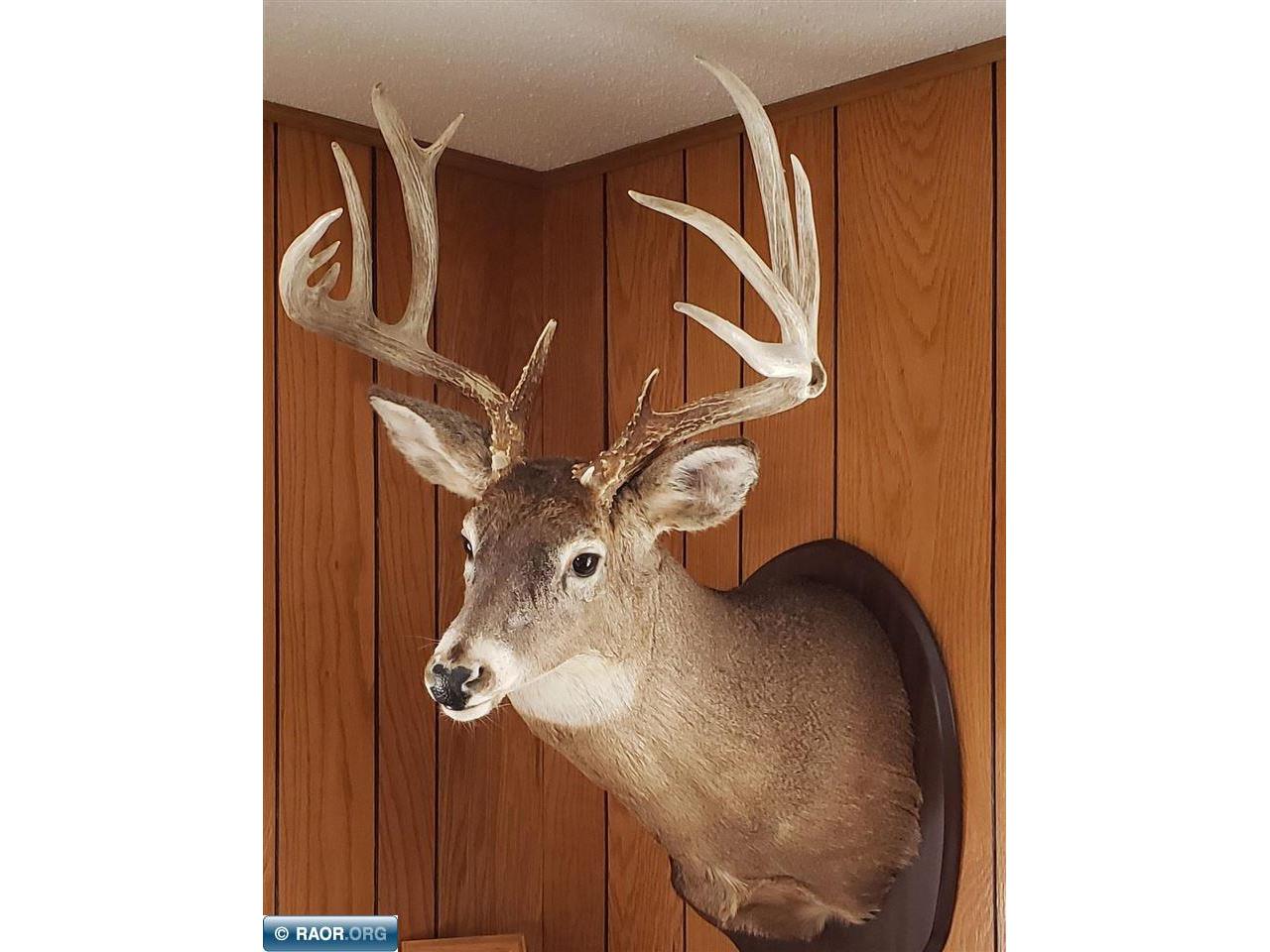 4477 Hitchcock Rd Orr MN 55771 149532 image39