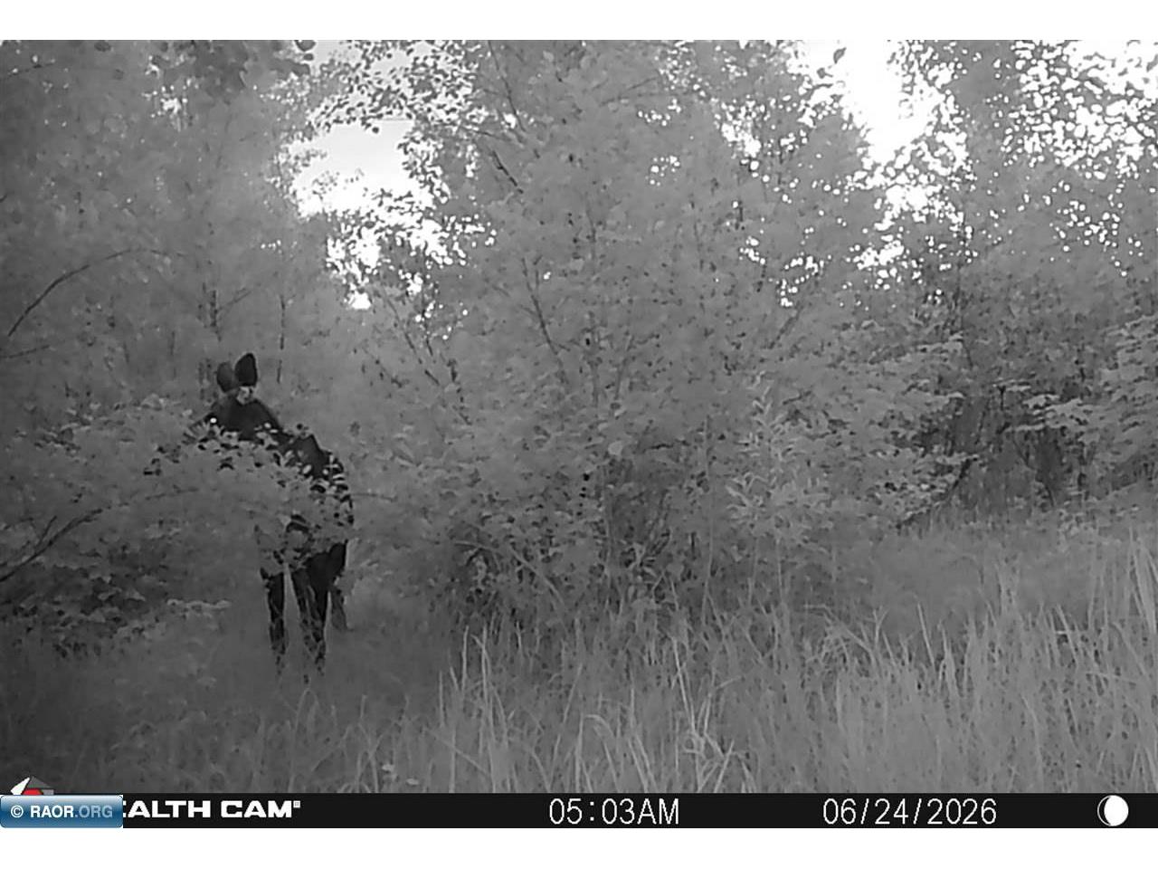 4745 St Louis River Rd Brimson MN 55602 - St Louis River 150295 image27