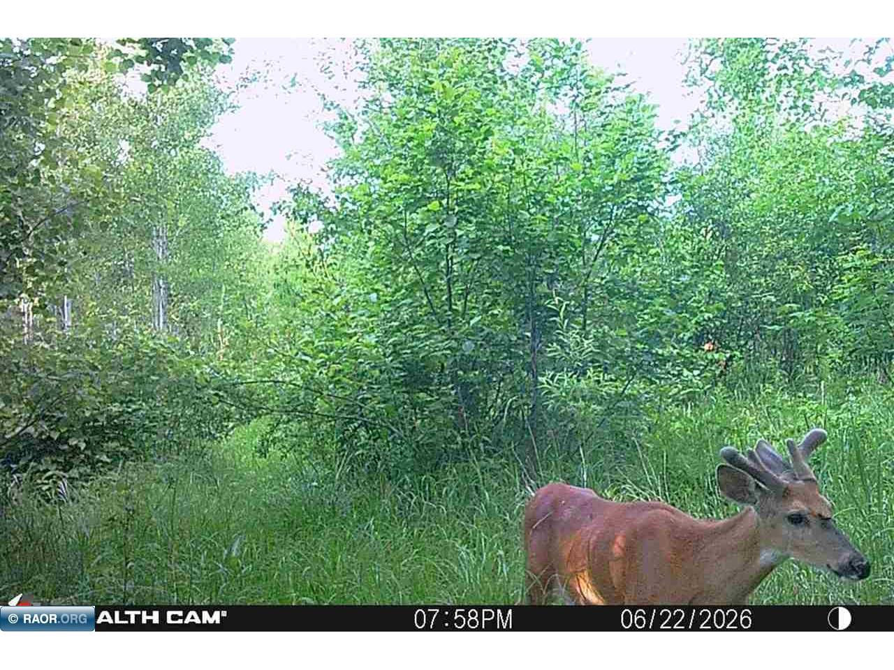 4745 St Louis River Rd Brimson MN 55602 - St Louis River 150295 image29