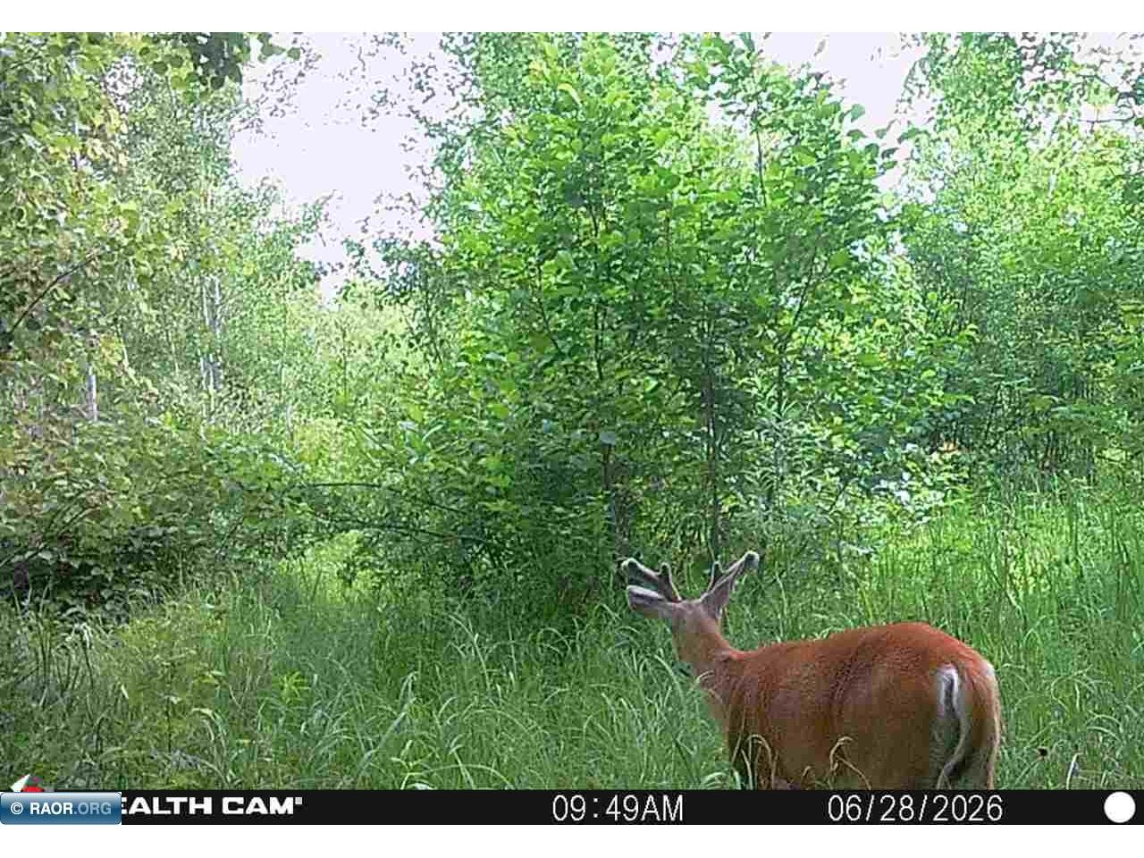 4745 St Louis River Rd Brimson MN 55602 - St Louis River 150295 image30