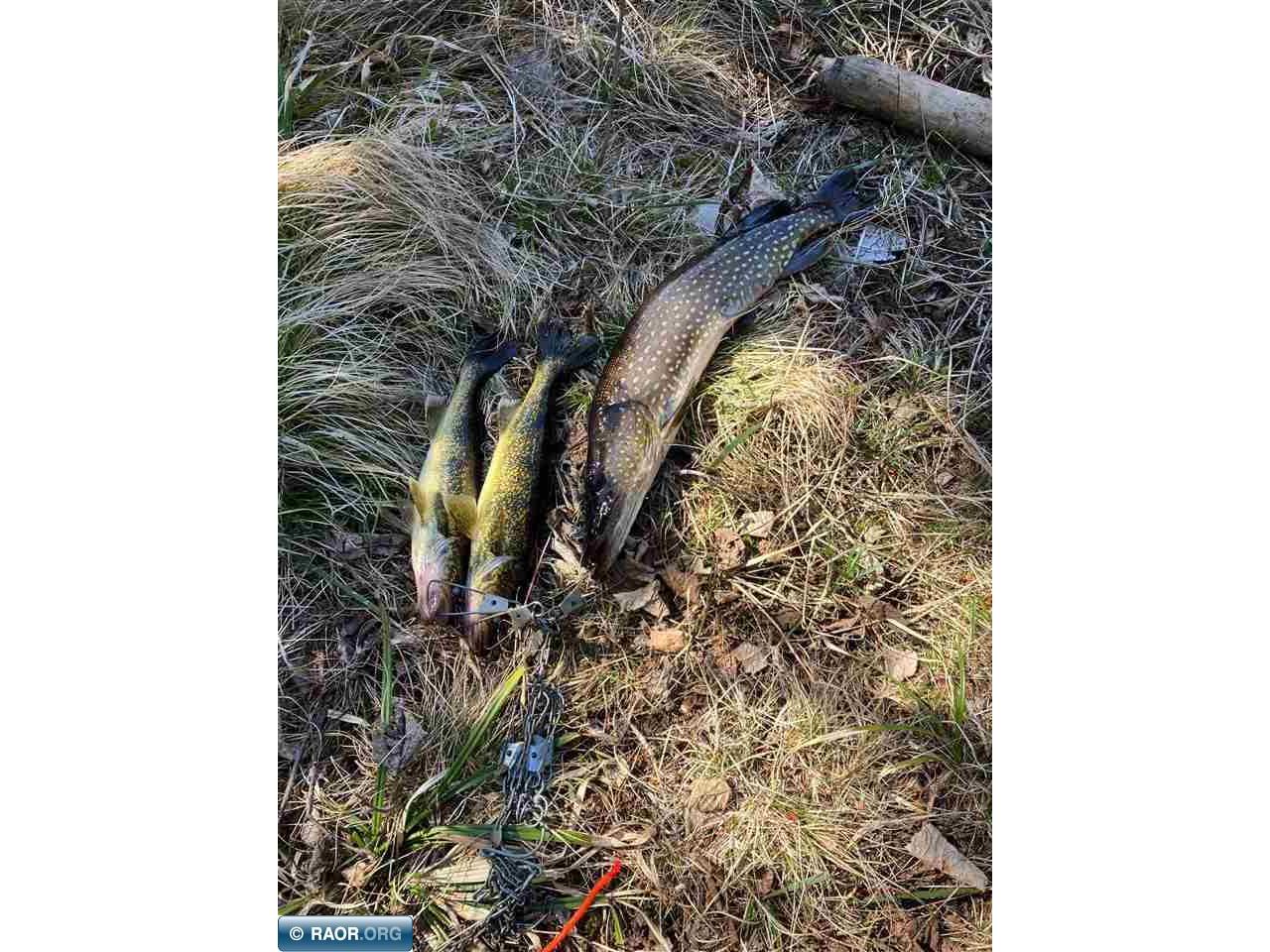 4745 St Louis River Rd Brimson MN 55602 - St Louis River 150295 image35