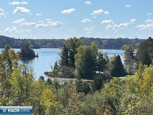 4789 Differding Point Rd Eveleth MN 55734 149079 image8