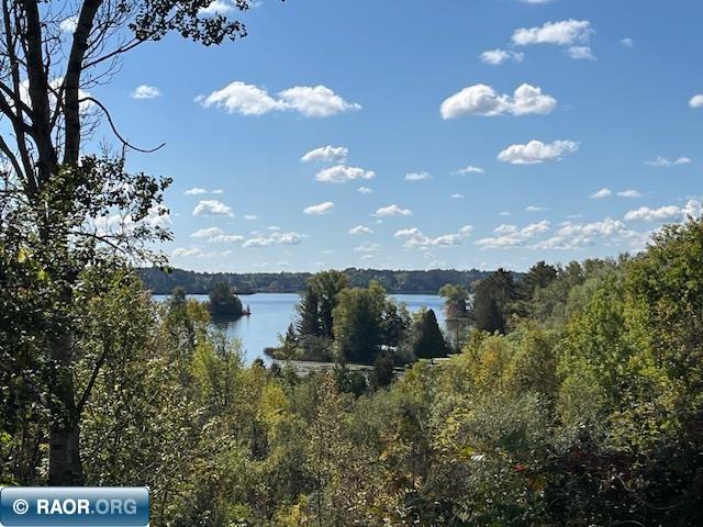 4789 Differding Point Rd Eveleth MN 55734 149079 image9