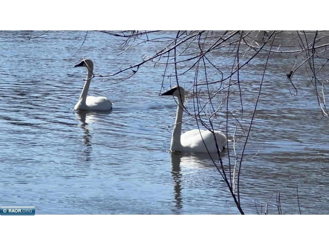 48225 Great River Road Palisade MN 56569 - Mississippi 149633 image29