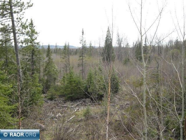 4866 Waisanen Road Embarrass MN 55732 149696 image12