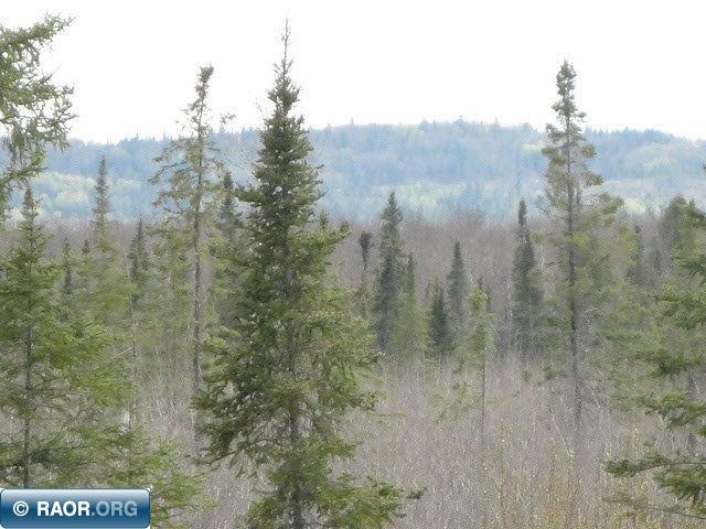 4866 Waisanen Road Embarrass MN 55732 149696 image13