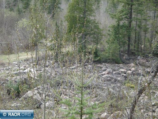 4866 Waisanen Road Embarrass MN 55732 149696 image14