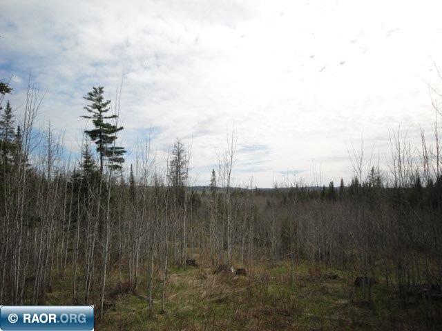 4866 Waisanen Road Embarrass MN 55732 149696 image18