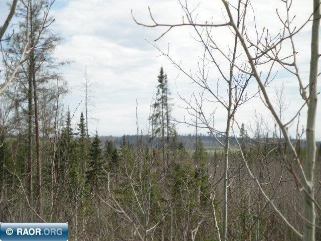 4866 Waisanen Road Embarrass MN 55732 149696 image19