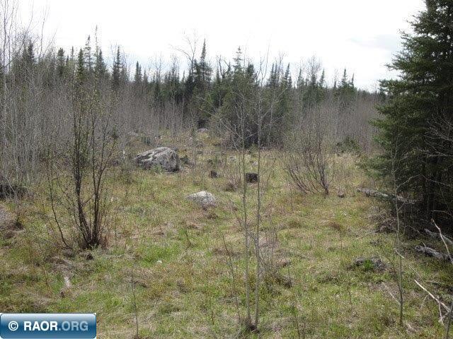 4866 Waisanen Road Embarrass MN 55732 149696 image20
