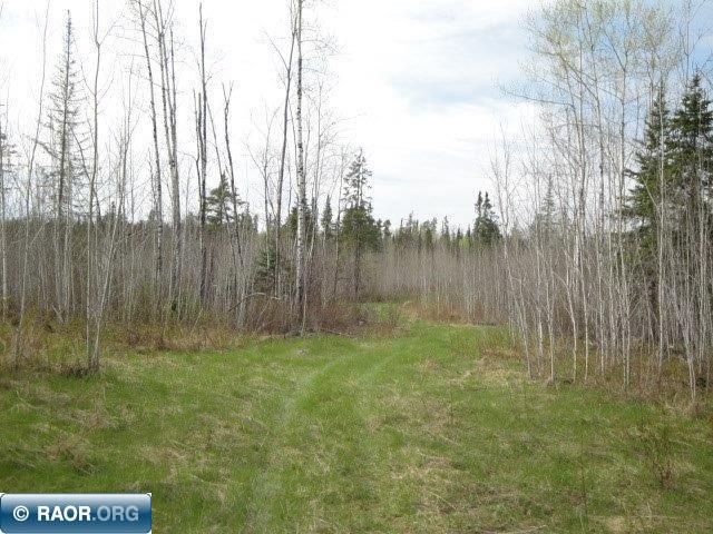 4866 Waisanen Road Embarrass MN 55732 149696 image21