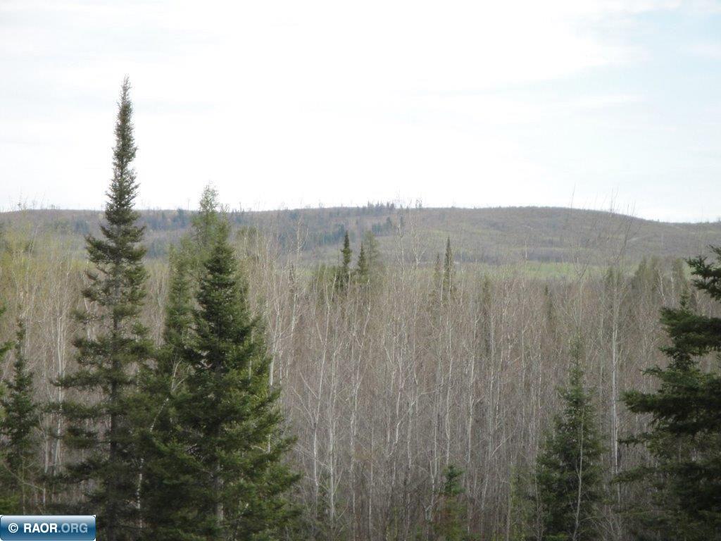 4866 Waisanen Road Embarrass MN 55732 149696 image25