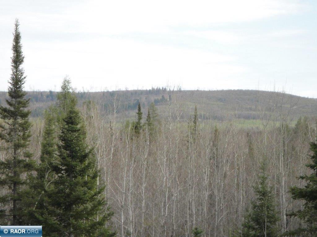 4866 Waisanen Road Embarrass MN 55732 149696 image26