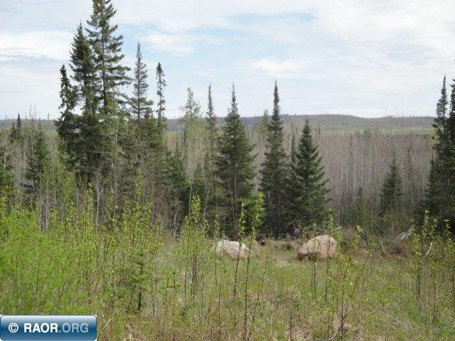4866 Waisanen Road Embarrass MN 55732 149696 image5