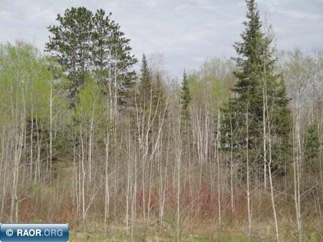 4866 Waisanen Road Embarrass MN 55732 149696 image9