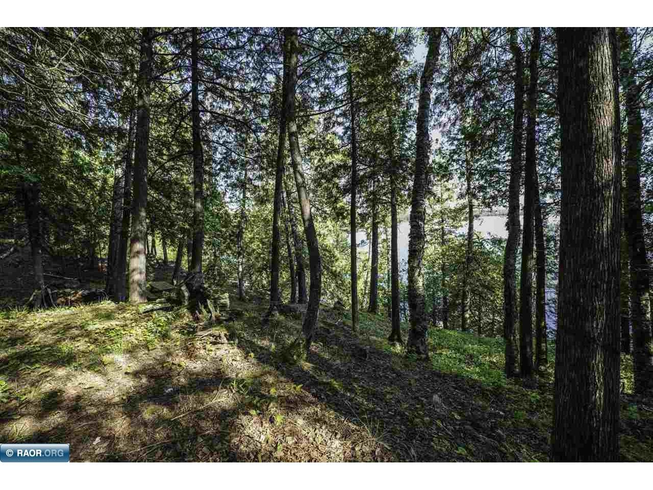 4891 Lake Vermilion N Tower MN 55790 - Vermilion 150061 image31