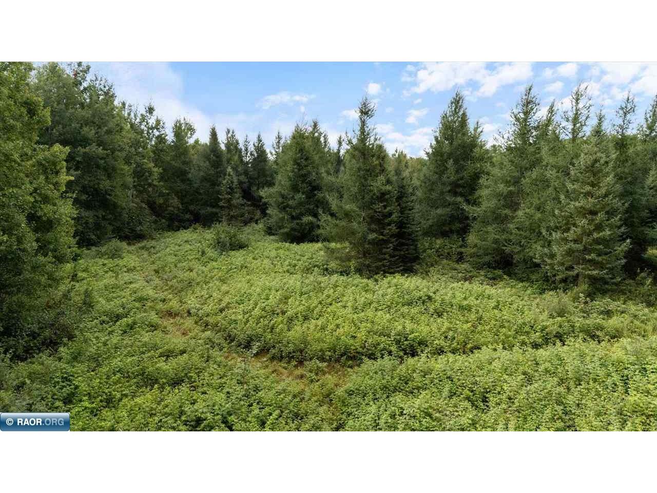 4901 Samuelson road Alango Twp MN 55703 149706 image19