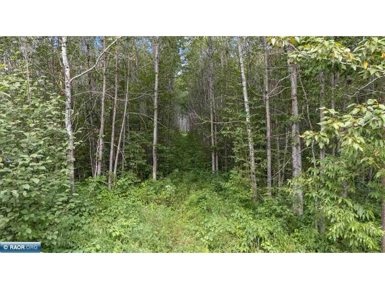 4901 Samuelson road Alango Twp MN 55703 149706 image6