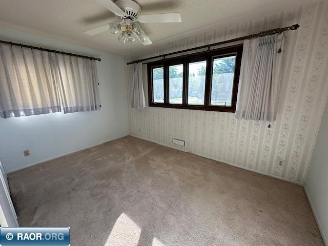 51 Elm Blvd Babbitt MN 55706 148919 image16